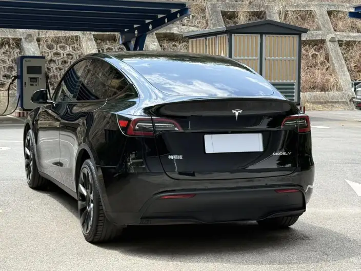 Model Y 2023 Model Rear-wheel drive version – фото 4