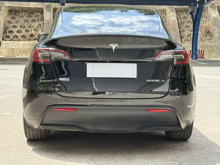 Model Y 2023 Model Rear-wheel drive version – фото 5