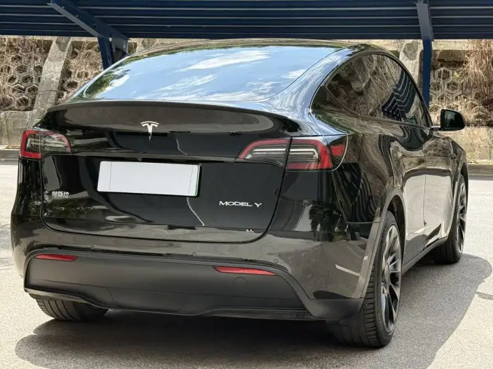 Model Y 2023 Model Rear-wheel drive version – фото 6