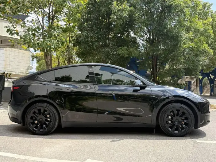 Model Y 2023 Model Rear-wheel drive version – фото 7