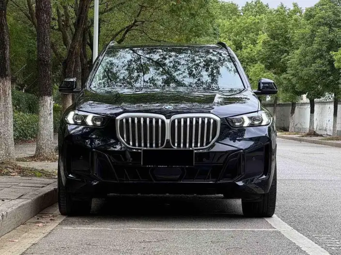 BMW X5 2025 Model xDrive30Li Exclusive Model M Sports Night Set – фото 2