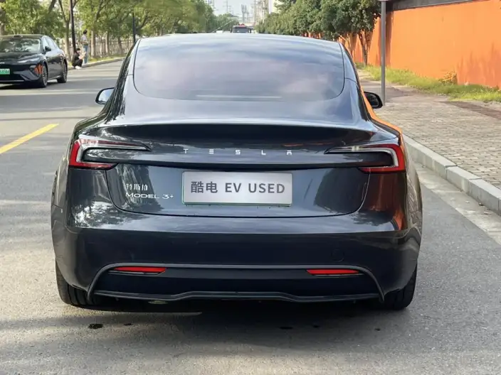 Model 3 2023 Model Long Battery Life Pro All-wheel drive version – фото 6