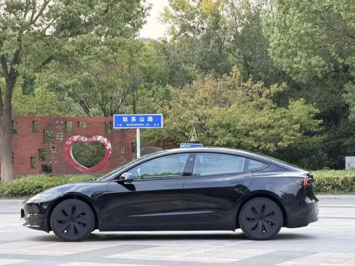Model 3 2025 Model Rear-wheel drive version – фото 4