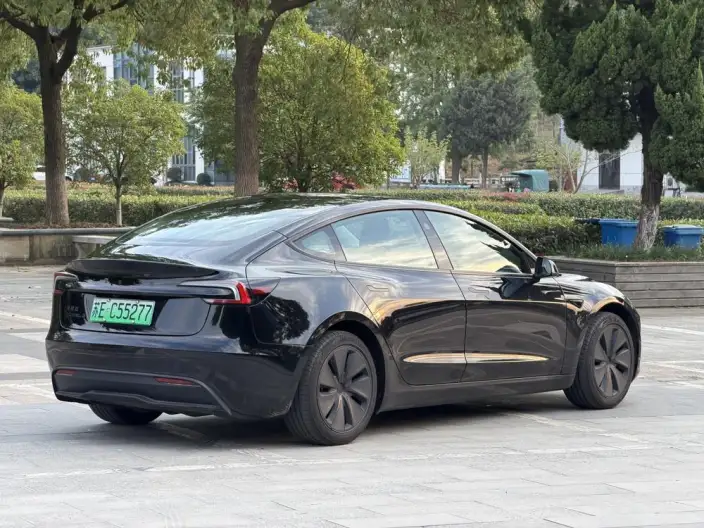 Model 3 2025 Model Rear-wheel drive version – фото 7