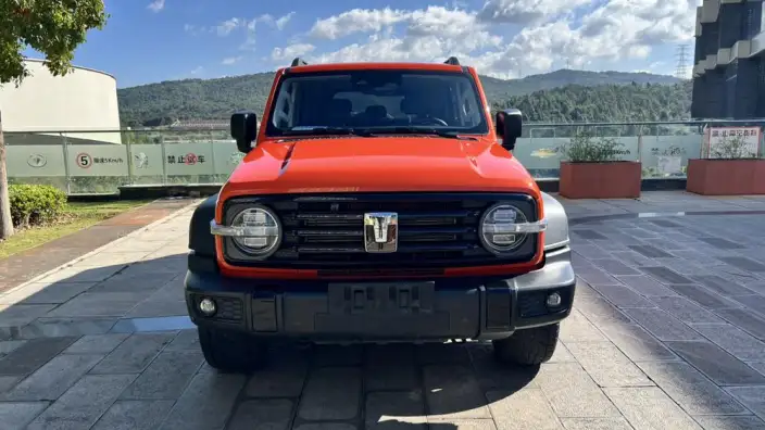 Tank 300 2024 Model 2.0T Challenger – фото 2