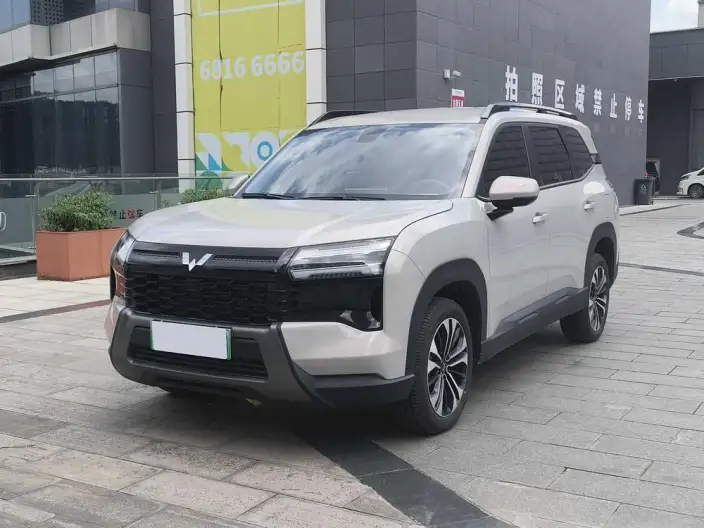 Xingguang 560 PHEV 2026 Model 125km Luxury Model