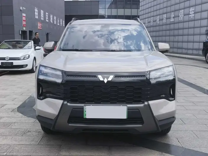 Xingguang 560 PHEV 2026 Model 125km Luxury Model
