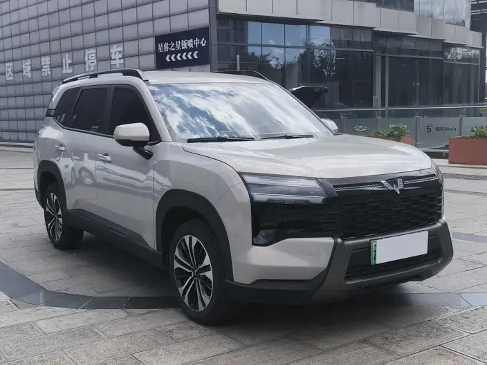Xingguang 560 PHEV 2026 Model 125km Luxury Model