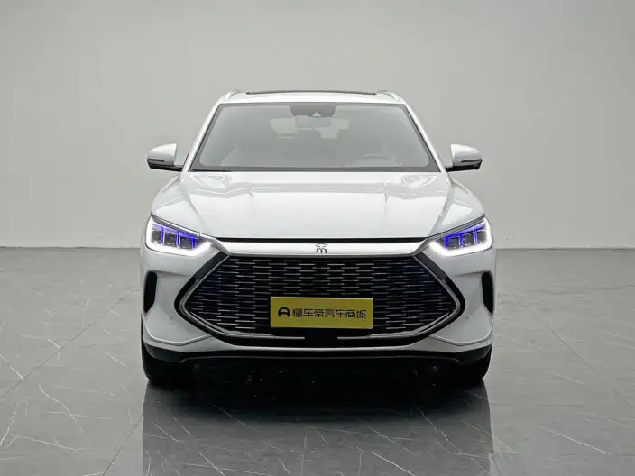 BYD Song PLUS DM 2021 Model DM-i 51KM 2WD Zunrong Model – фото 2