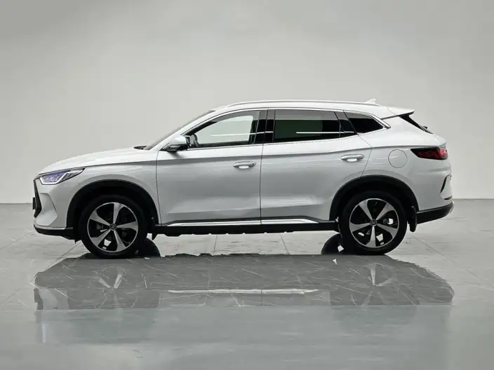 BYD Song PLUS DM 2021 Model DM-i 51KM 2WD Zunrong Model – фото 4
