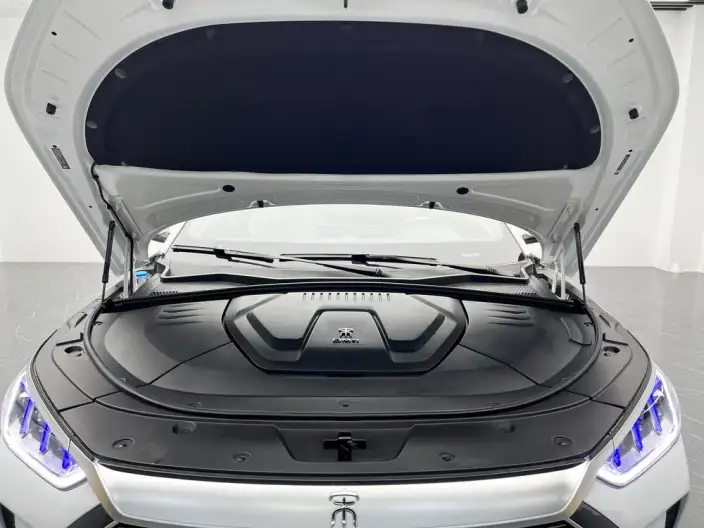 BYD Song PLUS DM 2021 Model DM-i 51KM 2WD Zunrong Model – фото 10