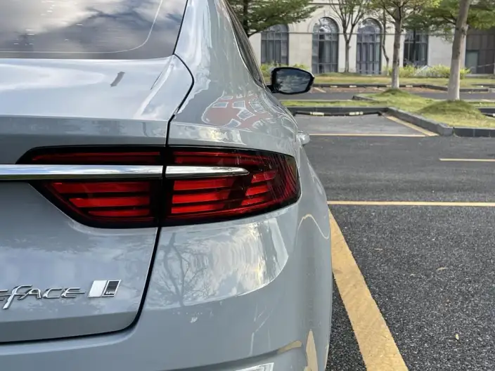 Geely StarRui 2023 Model 2.0T Luxury Model – фото 9
