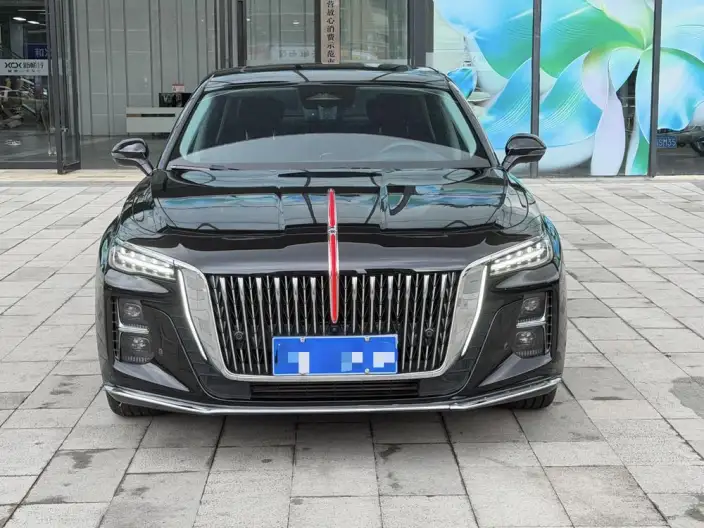 Hongqi H5 2024 Model 2.0T Automatic Flag Enjoy Edition – фото 2