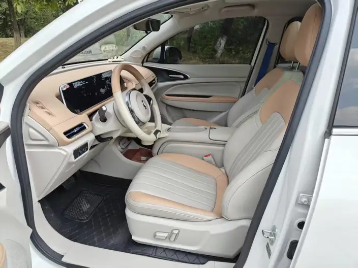ORA Good Cat 2024 Model 401km Luxury Model – фото 9