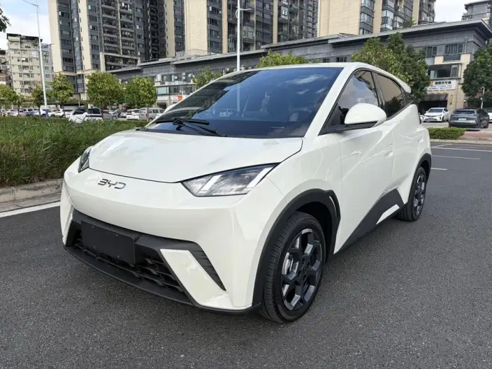 BYD Seagull 2025 Model 405KM Feixiang Edition – фото 1