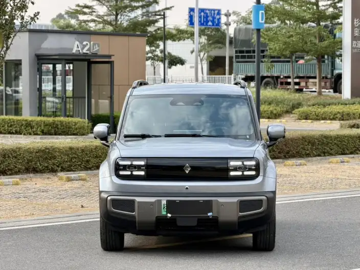 Yueye Plus 2026 Model 501km Zhizun Edition