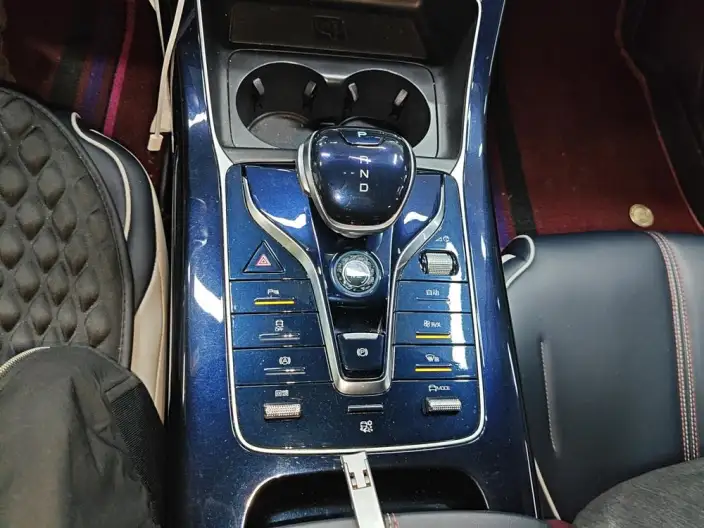 Qin Plus EV 2021 Model 500KM Luxury Model – фото 9