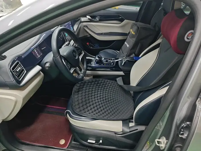 Qin Plus EV 2021 Model 500KM Luxury Model – фото 10