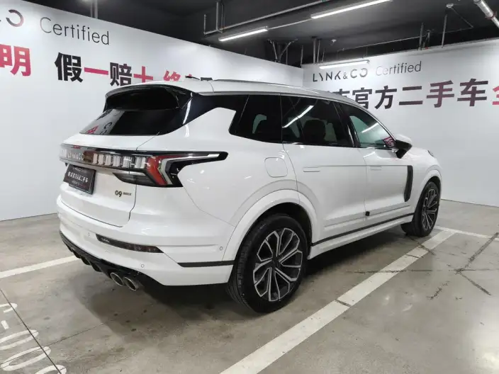 Lynk & Co 09 2024 Model 2.0T 4WD Sports Edition – фото 7