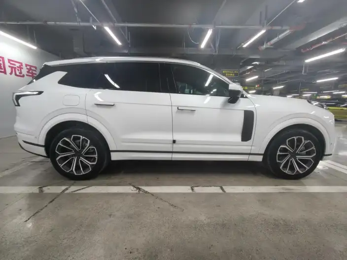 Lynk & Co 09 2024 Model 2.0T 4WD Sports Edition – фото 8