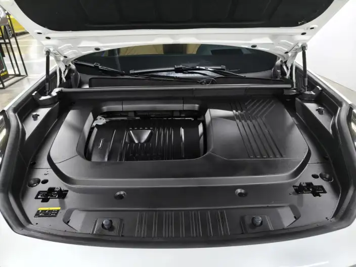 Lynk & Co 09 2024 Model 2.0T 4WD Sports Edition – фото 9