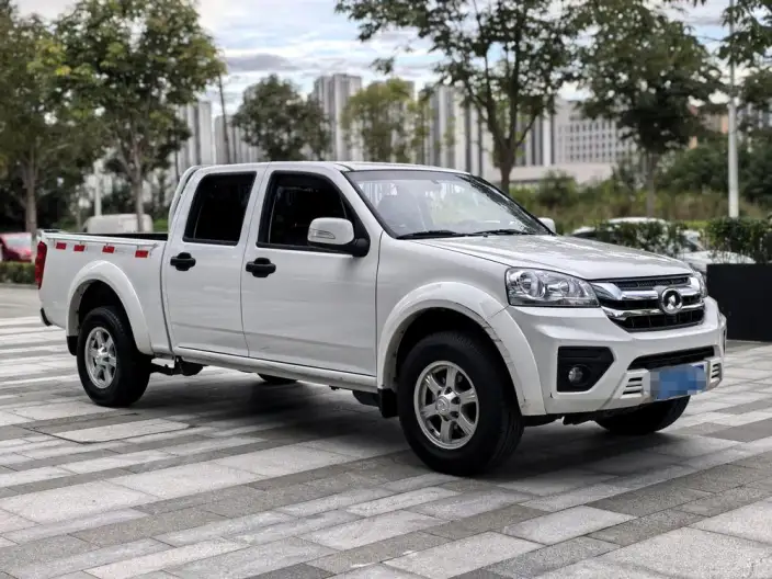 Wingle 5 2023 Model 2.4L Petrol 2WD Enterprising Model Big double 4K22D4M – фото 3