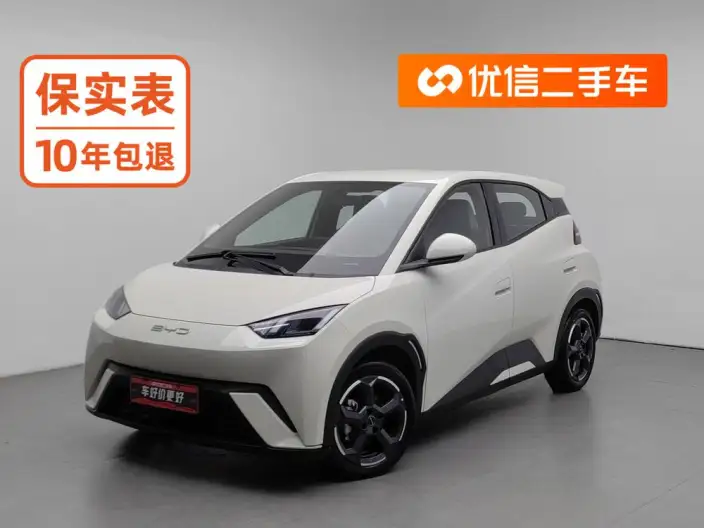 BYD Seagull 2023 Model Free Edition – фото 1