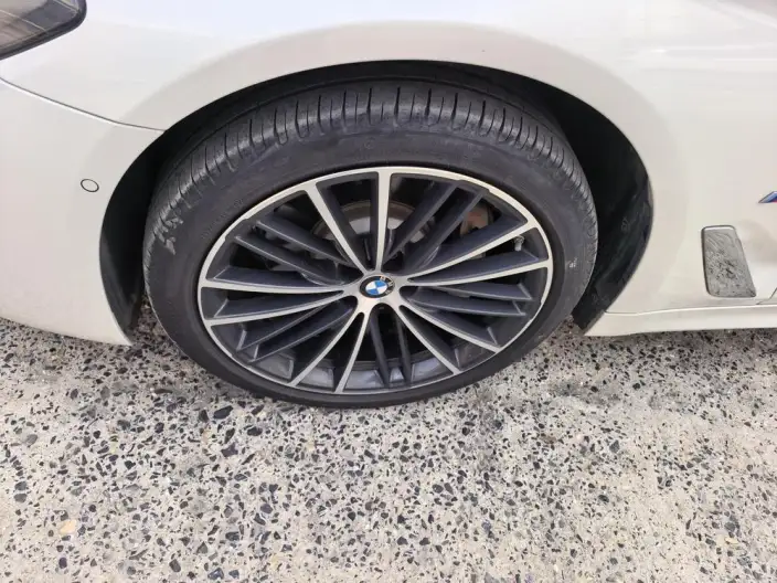 BMW 5 Series 2023 Model 530Li Leading Model M Sports Set – фото 9