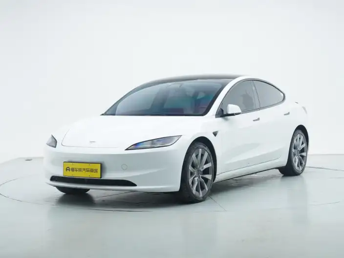 Model 3 2023 Model Long Battery Life Pro All-wheel drive version – фото 1