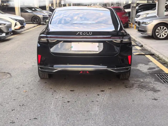 Yixuan Max 2021 Model 1.5T Super Spicy Dad Edition – фото 5