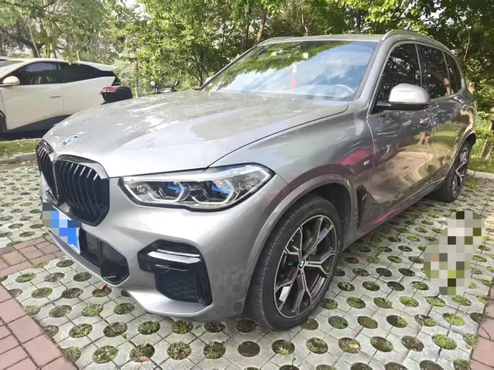 BMW X5 2022 Model Facelift xDrive 40Li M Sports Set – фото 1