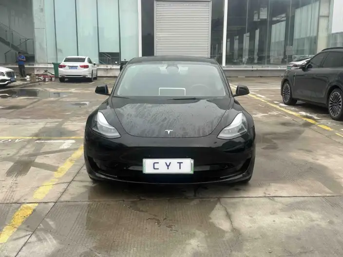 Model 3 2022 Model Rear-wheel drive version – фото 2