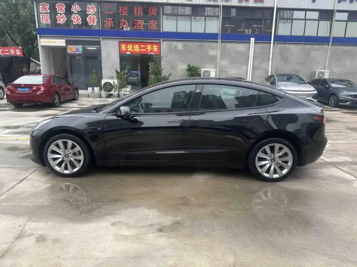 Model 3 2022 Model Rear-wheel drive version – фото 3