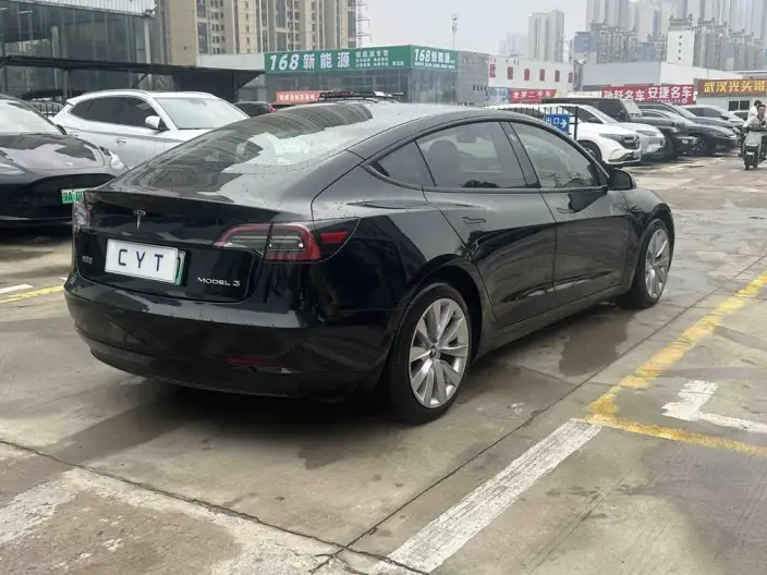 Model 3 2022 Model Rear-wheel drive version – фото 6