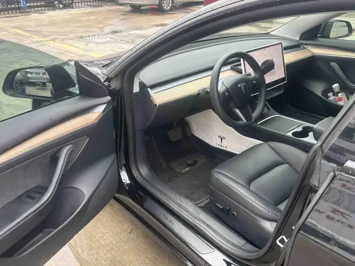 Model 3 2022 Model Rear-wheel drive version – фото 8