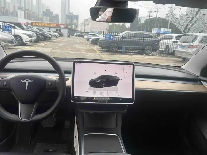 Model 3 2022 Model Rear-wheel drive version – фото 9