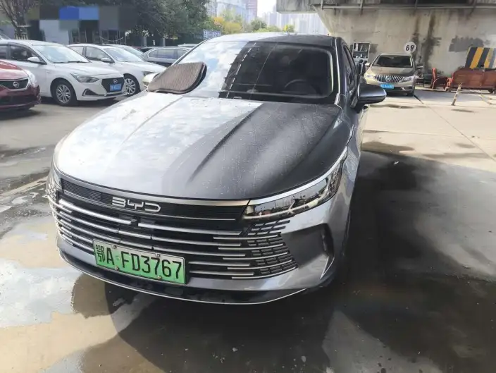 BYD Destroyer 05 2024 Model Honor Edition DM-i 55KM Luxury Model – фото 3