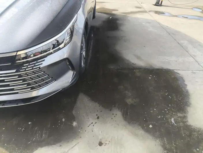 BYD Destroyer 05 2024 Model Honor Edition DM-i 55KM Luxury Model – фото 5