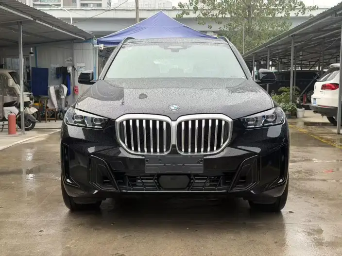 BMW X5 2026 Model Facelift xDrive40Li M Sports Night Set – фото 2