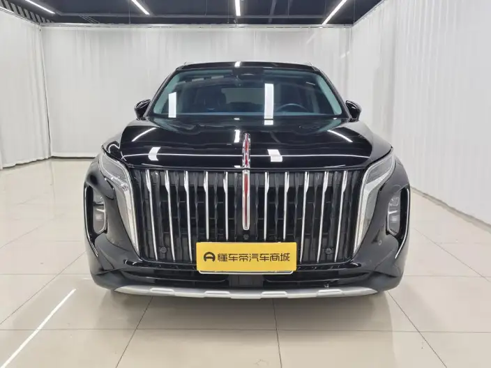 Hongqi HS7 2023 Model 2.0T 4WD Flag Enjoy Edition 6 seat – фото 2