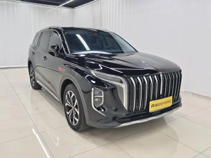 Hongqi HS7 2023 Model 2.0T 4WD Flag Enjoy Edition 6 seat – фото 3