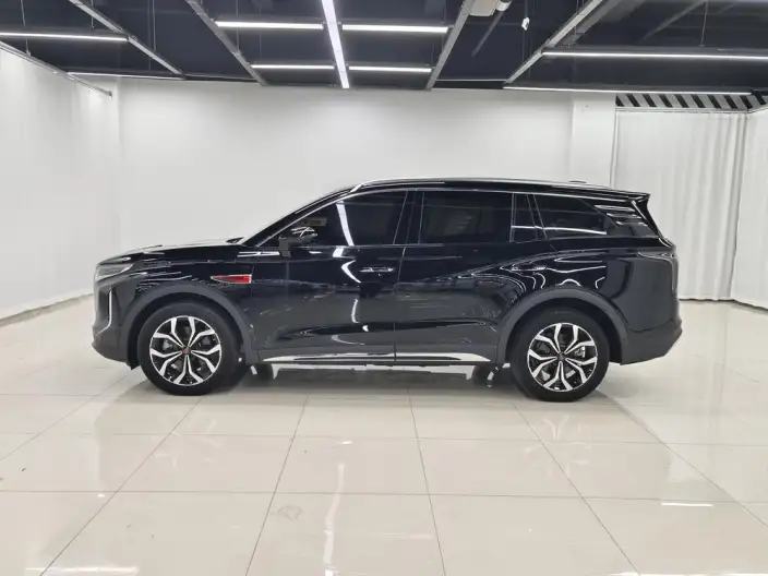 Hongqi HS7 2023 Model 2.0T 4WD Flag Enjoy Edition 6 seat – фото 4
