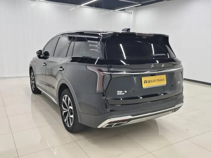 Hongqi HS7 2023 Model 2.0T 4WD Flag Enjoy Edition 6 seat – фото 5