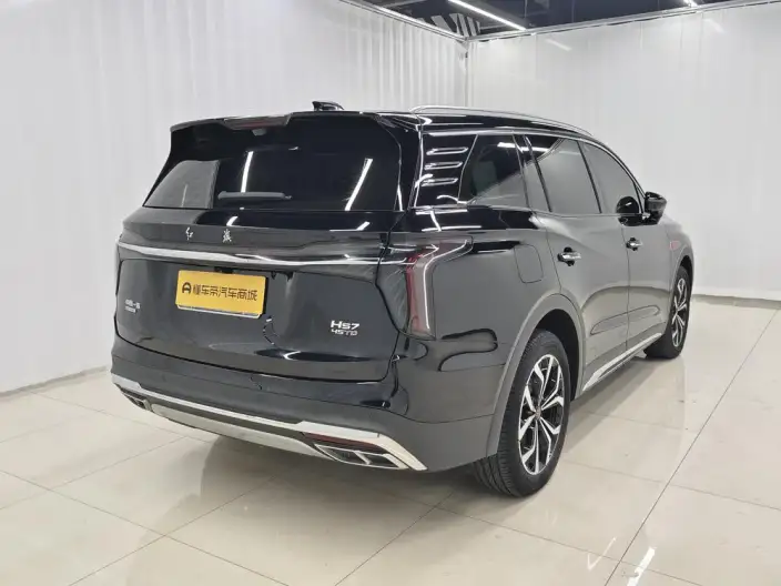 Hongqi HS7 2023 Model 2.0T 4WD Flag Enjoy Edition 6 seat – фото 7