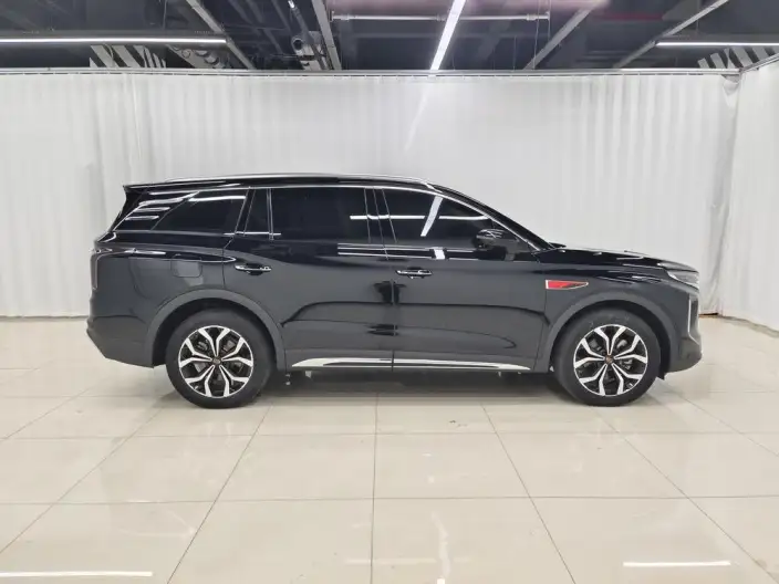 Hongqi HS7 2023 Model 2.0T 4WD Flag Enjoy Edition 6 seat – фото 8