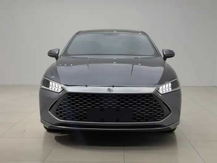 BYD Qin PLUS DM 2024 Model Honor Edition DM-i 55KM Leading Model – фото 2
