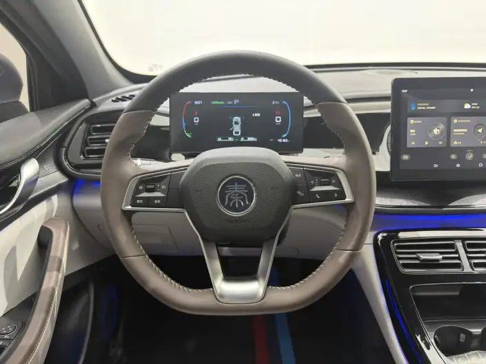 BYD Qin PLUS DM 2024 Model Honor Edition DM-i 55KM Leading Model – фото 10