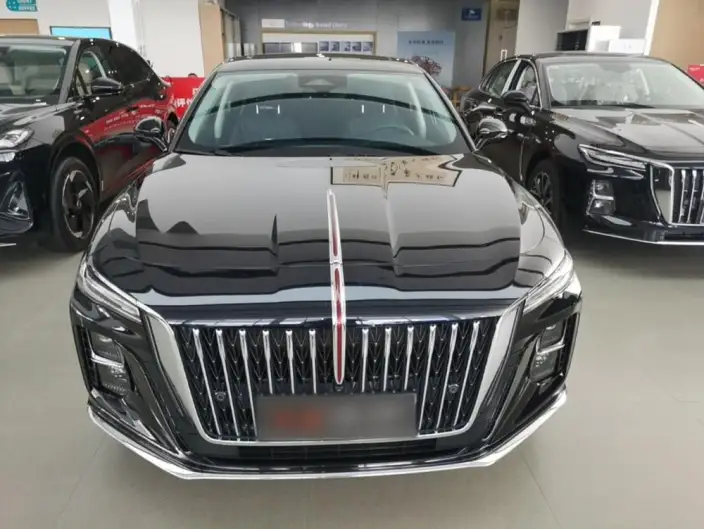 Hongqi H5 2023 Model 2.0T Automatic Flag Lead Edition – фото 2