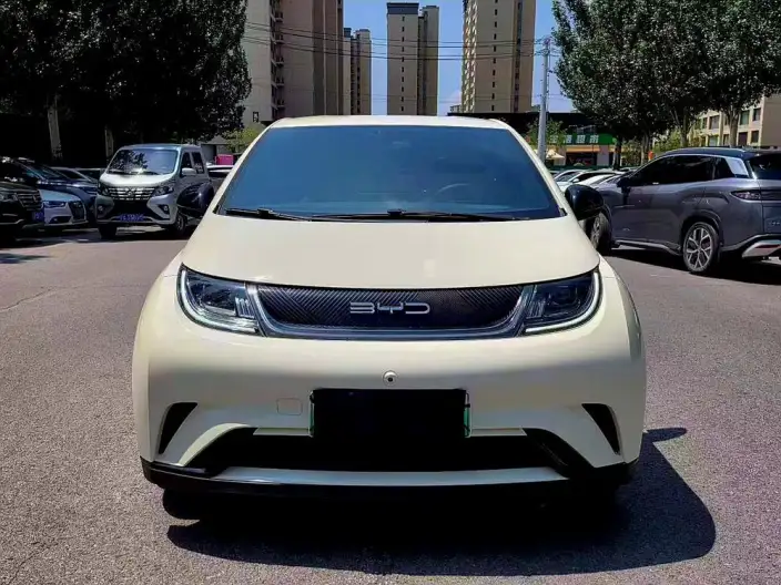 BYD Dolphin 2024 Model Honor Edition 420km Fashion Edition – фото 2