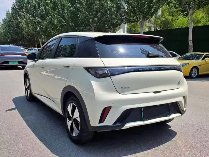 BYD Dolphin 2024 Model Honor Edition 420km Fashion Edition – фото 4